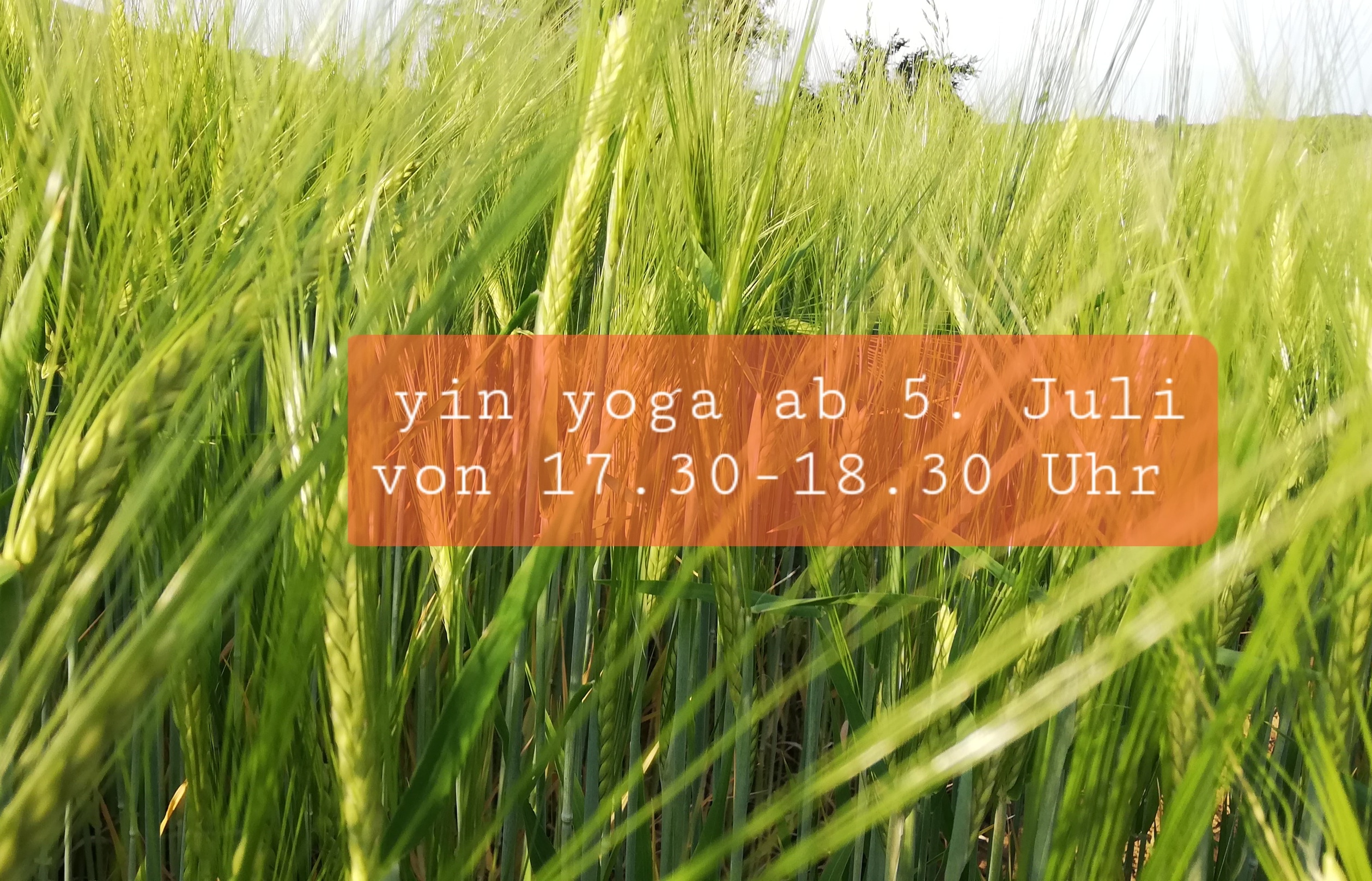 Yoga: Yogawerkstatt                          Silke Weber