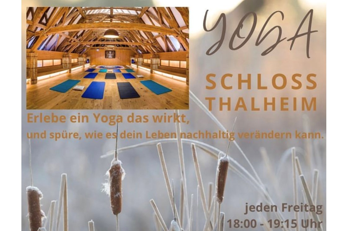 Yoga: Dein Körper, Geist und Seele wird es dir danken. - Yoga im Schloss Thalheim 