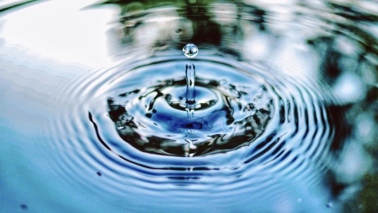 Yoga course - Region Bodensee - Meditatives Hatha-Yoga 