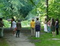 Yoga: BreathWalk SachsenWald - BreathWalk im Sachsenwald 90 min zeitgewöhnt und 180 min zeitverwöhnt