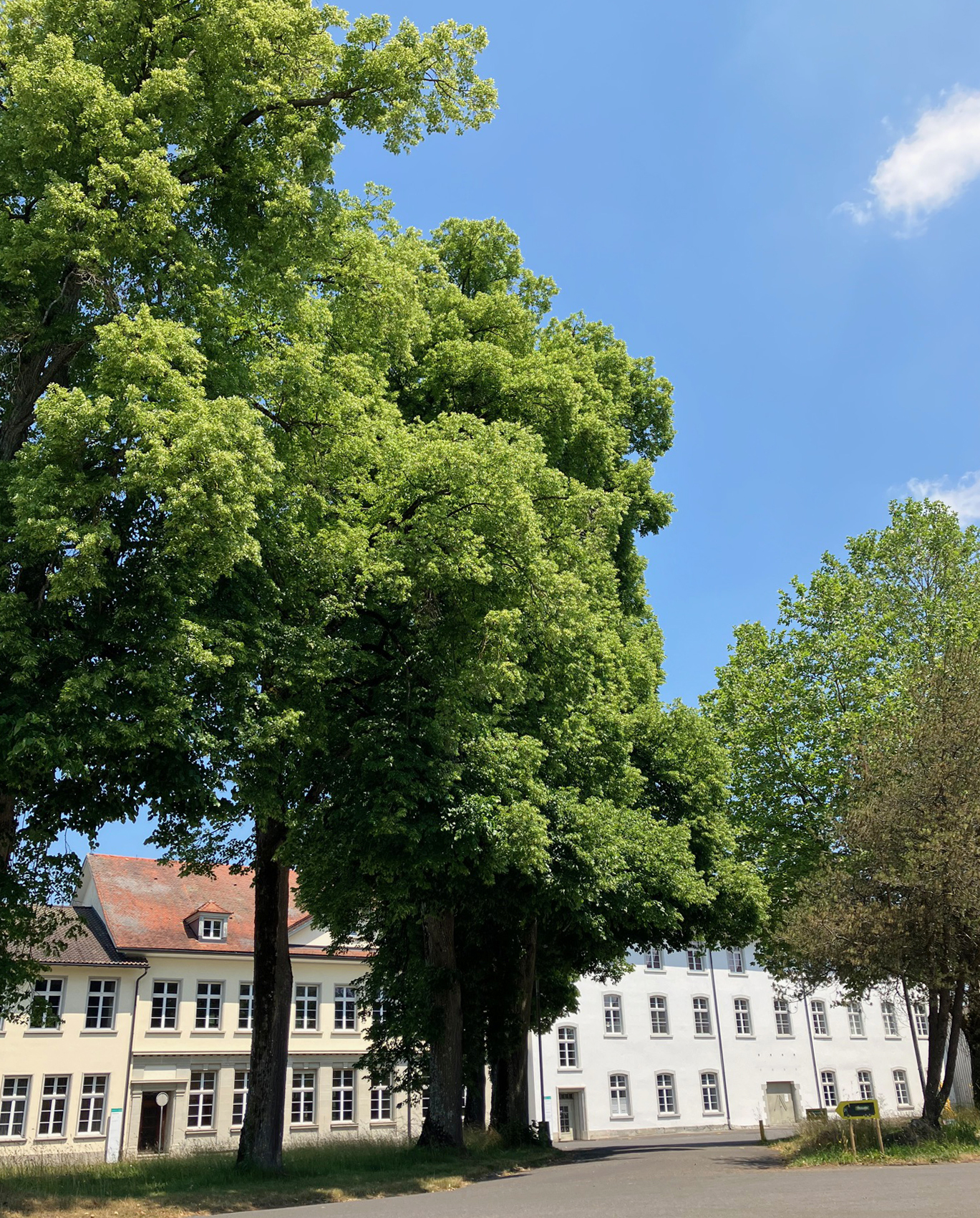 Yoga: Yoga parenam im Kammgarn Areal - Yoga parenam, Yoga Gruppen, Workshops, Yogatherapie