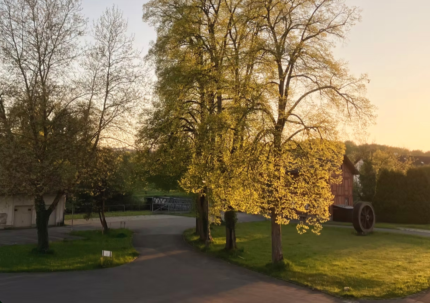 Yoga: Blick aus dem Fenster. Vögelzwitschern, Wasserrauschen, Blätterrascheln... alles da. Welch schöner Ort für Yoga.  - Yoga parenam, Yoga Gruppen, Workshops, Yogatherapie