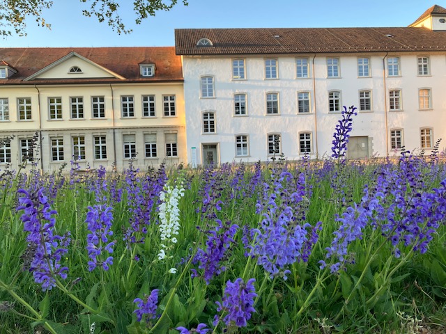 Yoga: Blick auf den Bürotrakt, wo sich im 1. Stock unser Studio in Richtung Hof befindet mit 4 Fenstern zum Hof.  - Yoga parenam, Yoga Gruppen, Workshops, Yogatherapie