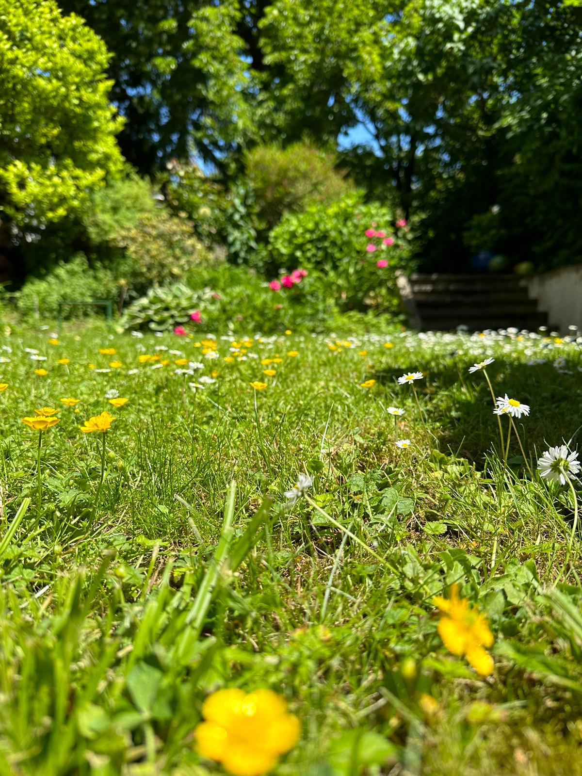 Yogaevent: Yoga Retreat – Urban Strength & Stillness (Wien)