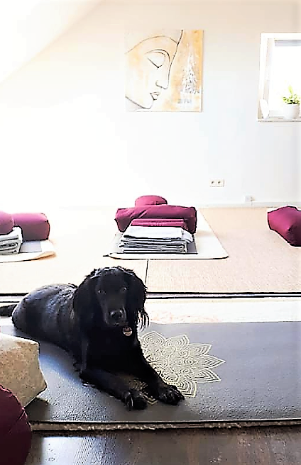 Yogakurs - vorhandenes Yogazubehör: Sitz- / Meditationskissen - Eifel - Yin Yoga im Atelier