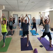 Yoga Ausbildung: Yogalehrer Ausbildung 220h - Qi-Life Yogalehrer Ausbildung 220h