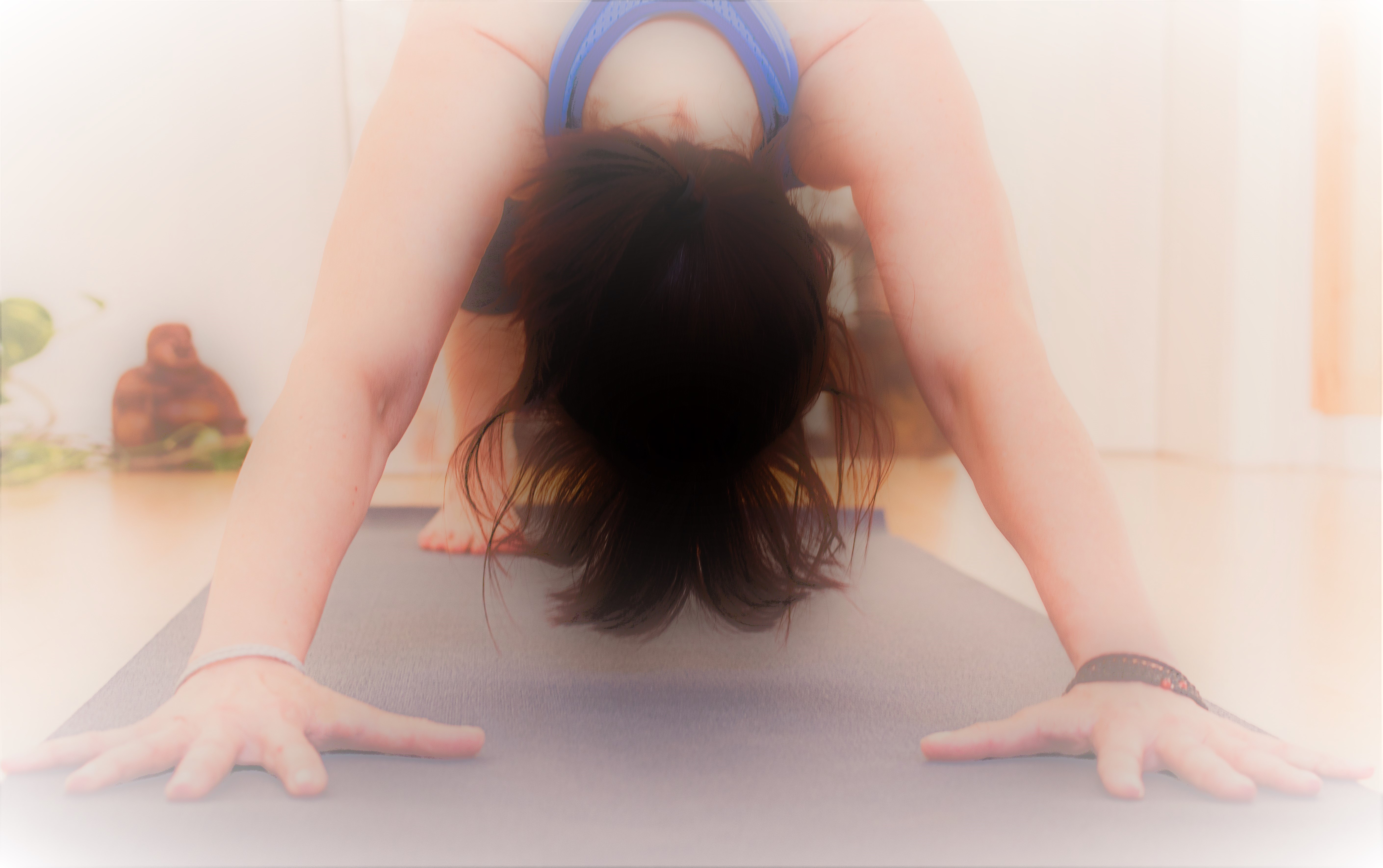 Yogalehrer Ausbildung: Qi-Life Yogalehrer Ausbildung 220h