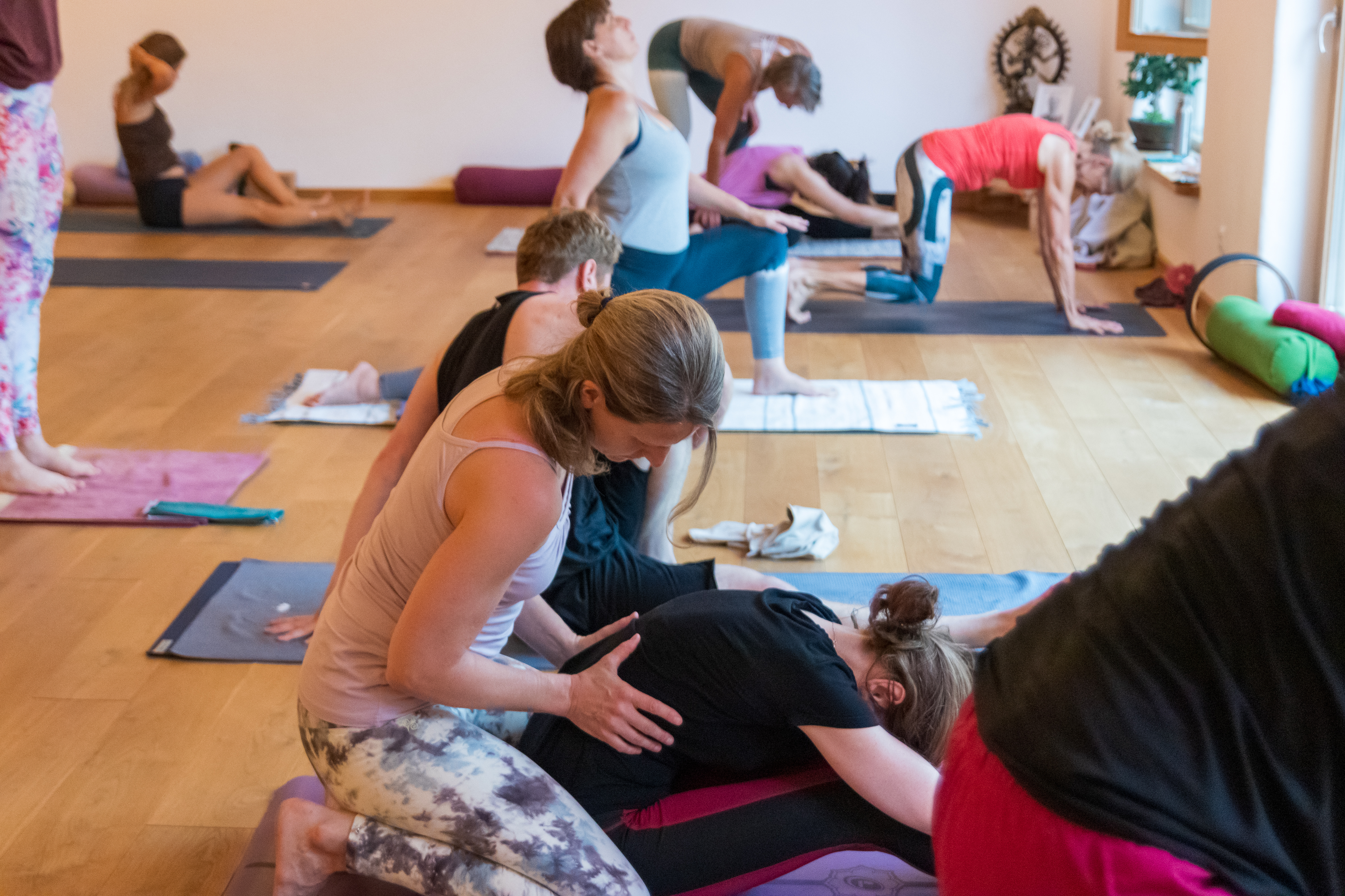 Clase de yoga - Yogastil: Yoga Nidra - Hesse - Ashtanga Mysore Summer Retreat - jedes Jahr im Allgäu - DAY – Daily Ashtanga Yoga Wiesbaden