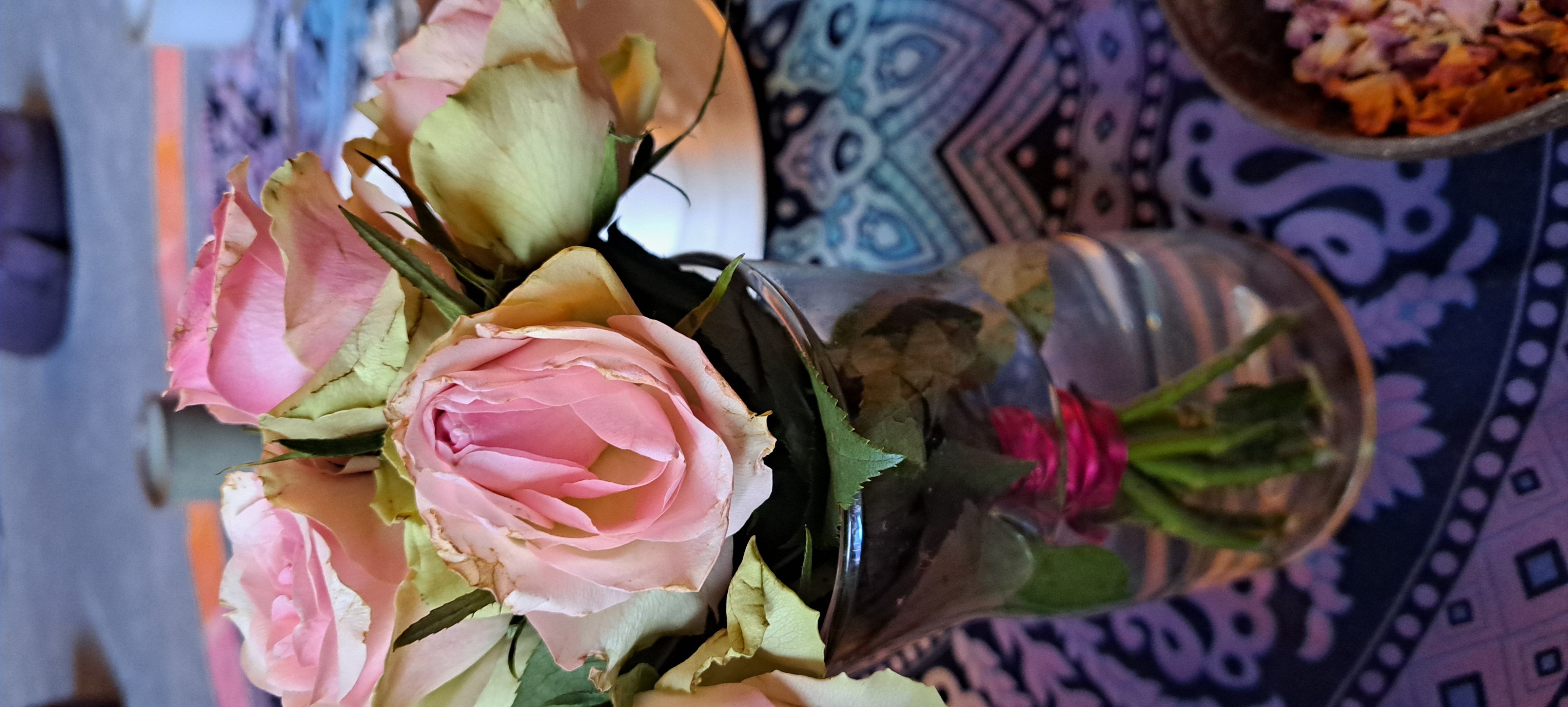 Yoga: Cacao-Zeremonie - Nijotaa-Yoga, Entspannung und mehr