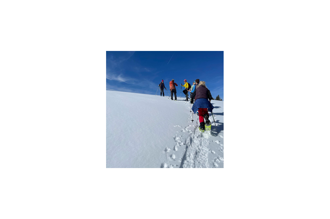 Yogaevent: Yogaschüler beim Schneeschuhwandern - Yoga, Schneeschuhwandern und Detox-Light Winter 2024