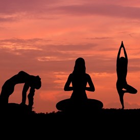 Yogalehrer Ausbildung: Yoga-Teacher BASIC Training 2024