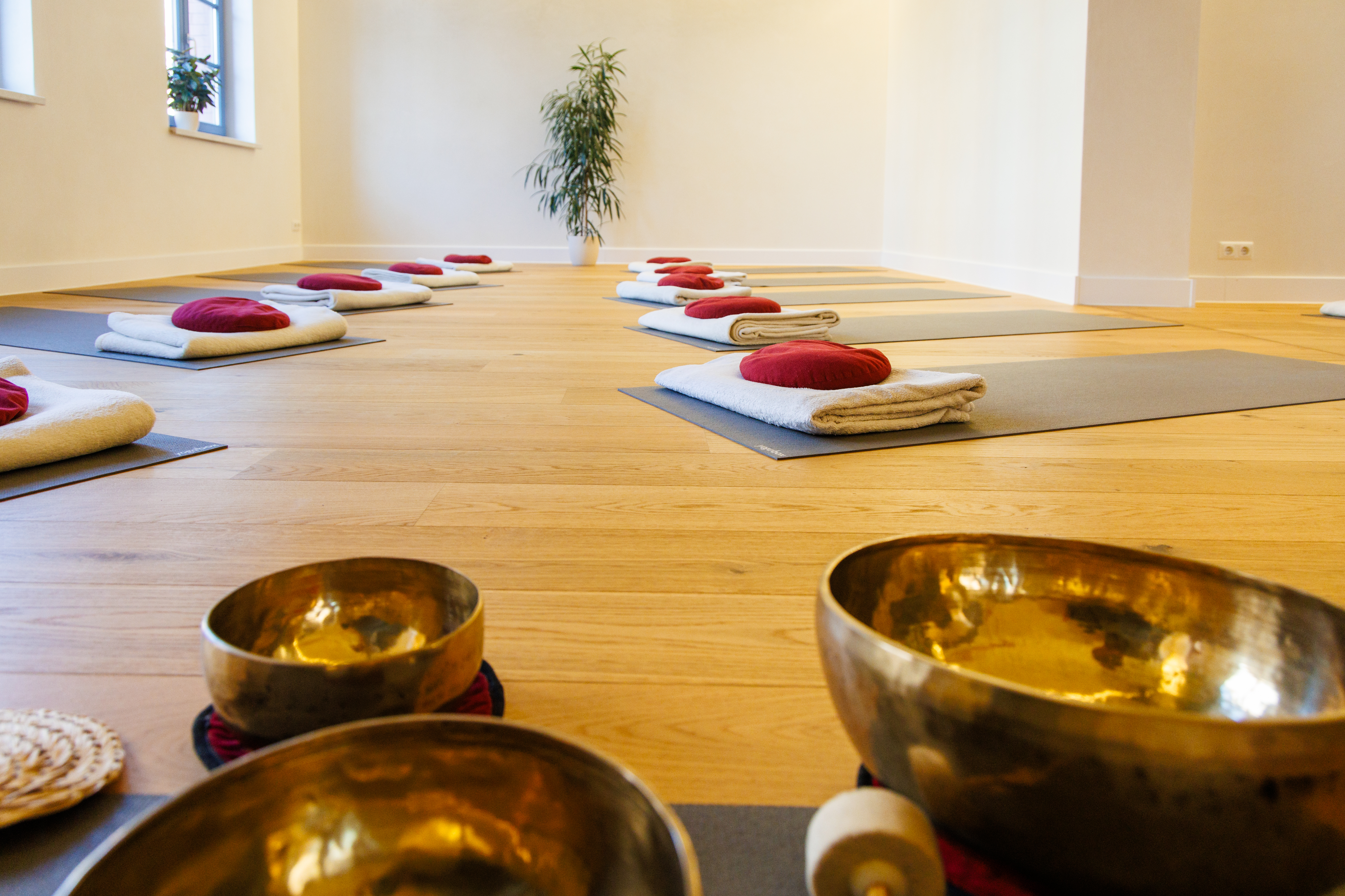 Yoga: Yoga Nova in Erfurt