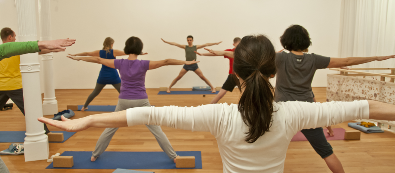 Yoga course - Yogalehrer:in - Germany - Anfänger-Unterricht - Iyengar Yoga Daniel Weidenbusch