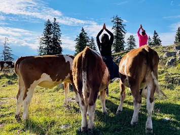 3 Tage Yoga & Stressmanagement auf der Oberen Firstalm Eindrücke in Bildern der Unterkunft Yoga zwischen den Kühen
