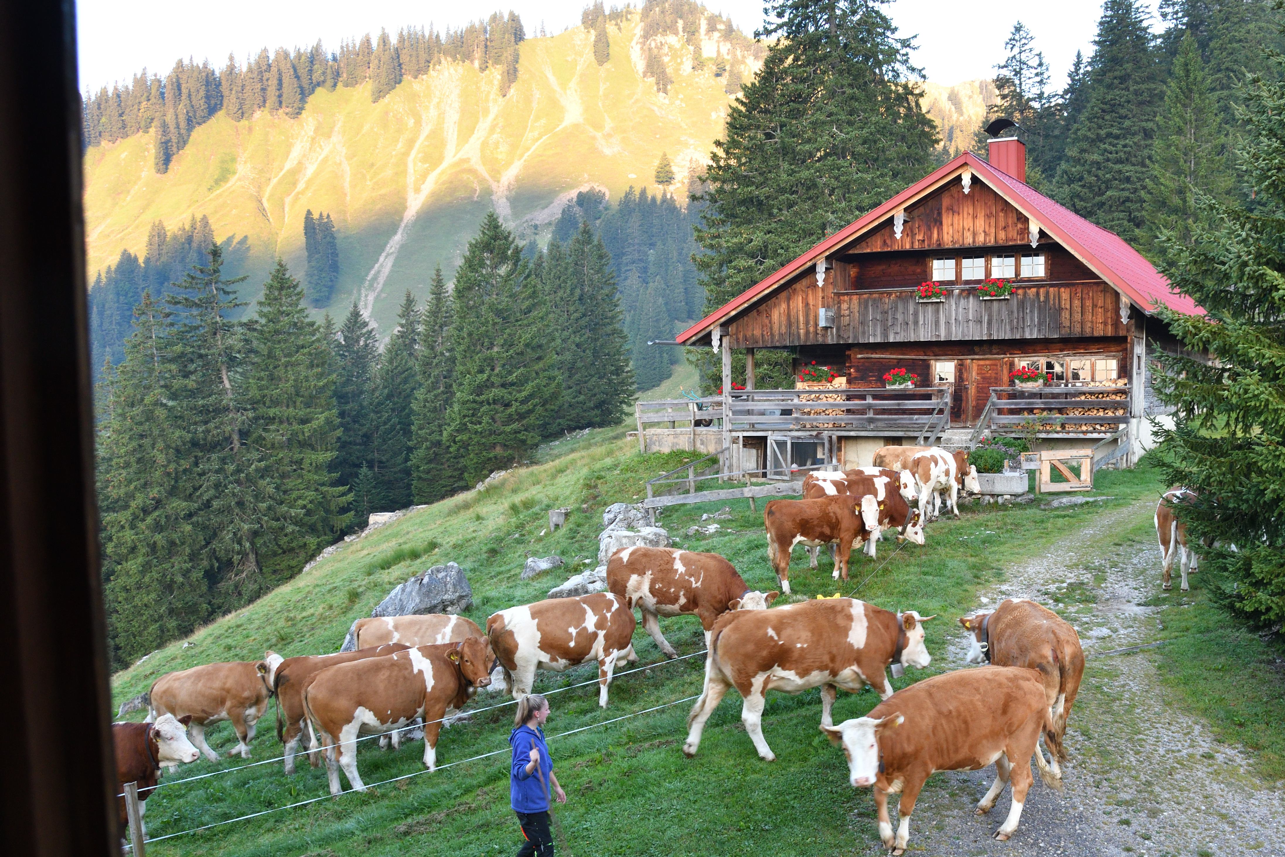 Yogaevent: 3 Tage Yoga & Stressmanagement auf der Oberen Firstalm