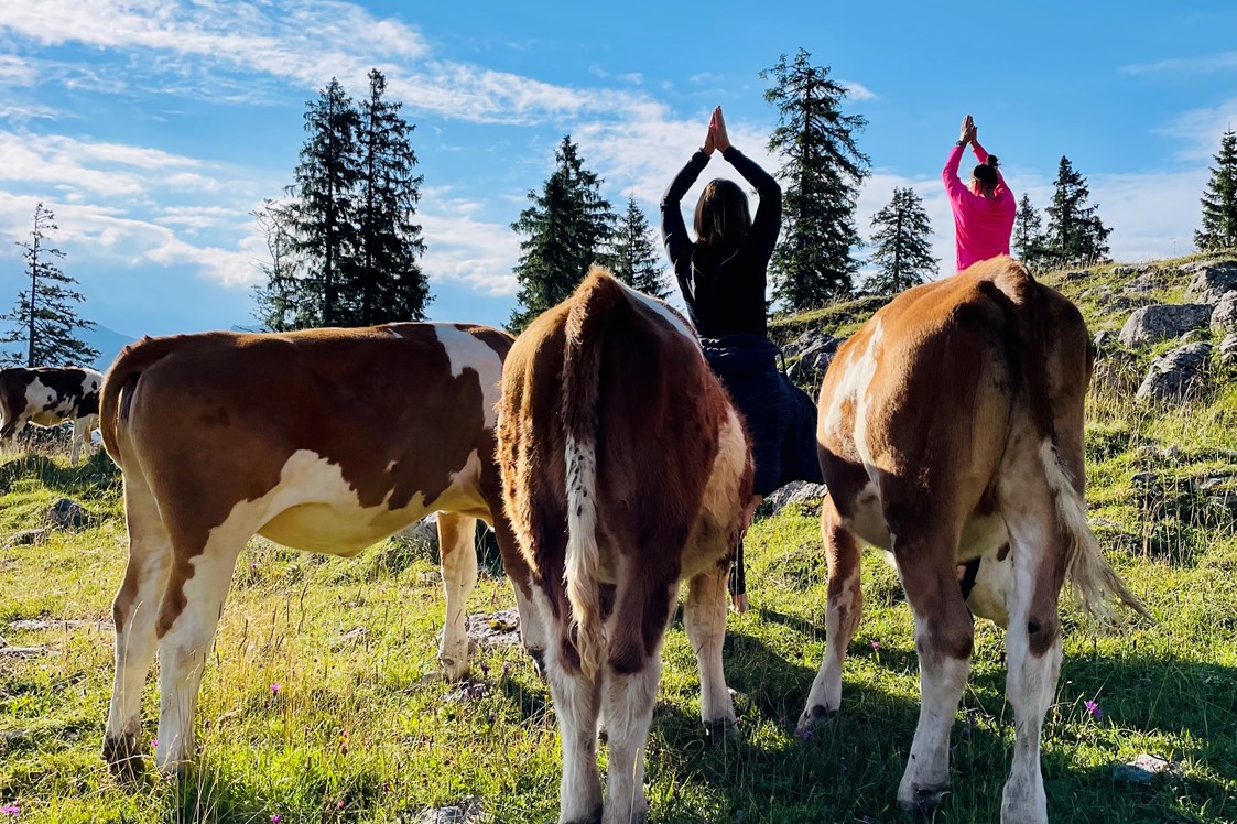Yogaevent: Faszienyoga und Wanderretreat auf der Oberen Firstalm