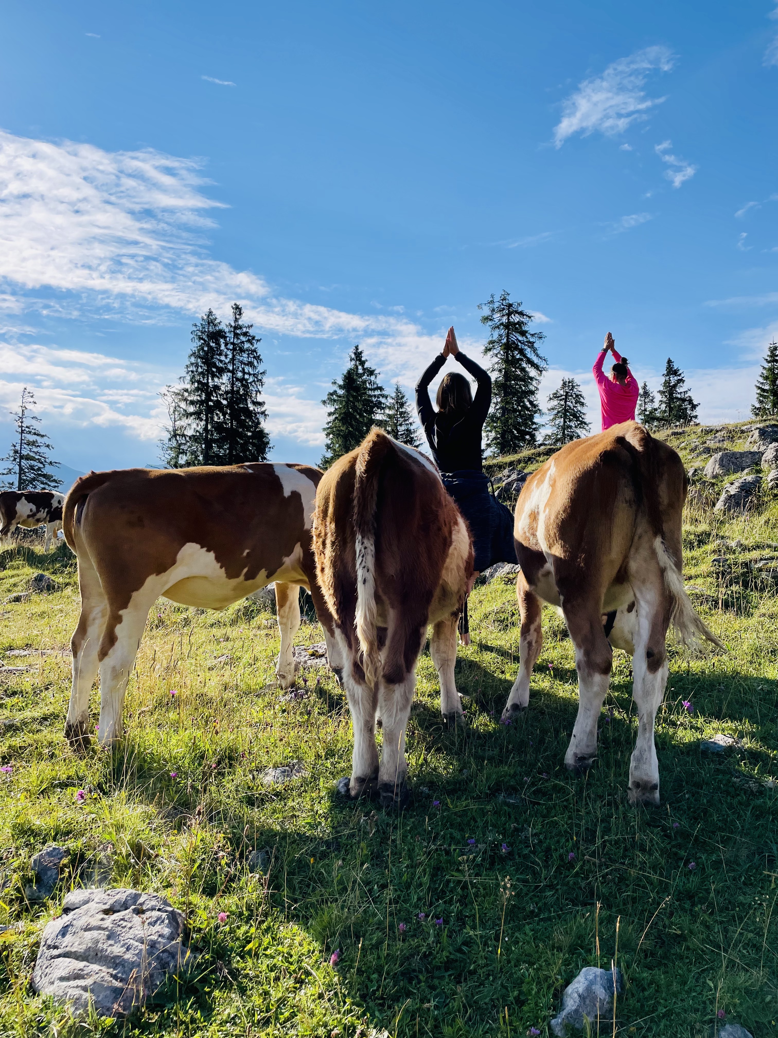 Yogaevent: Lachyoga und geführtes Meditations-Retreat auf der Oberen Firstalm