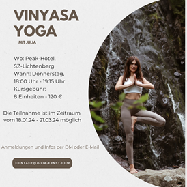 Yoga: Vinyasa Yoga