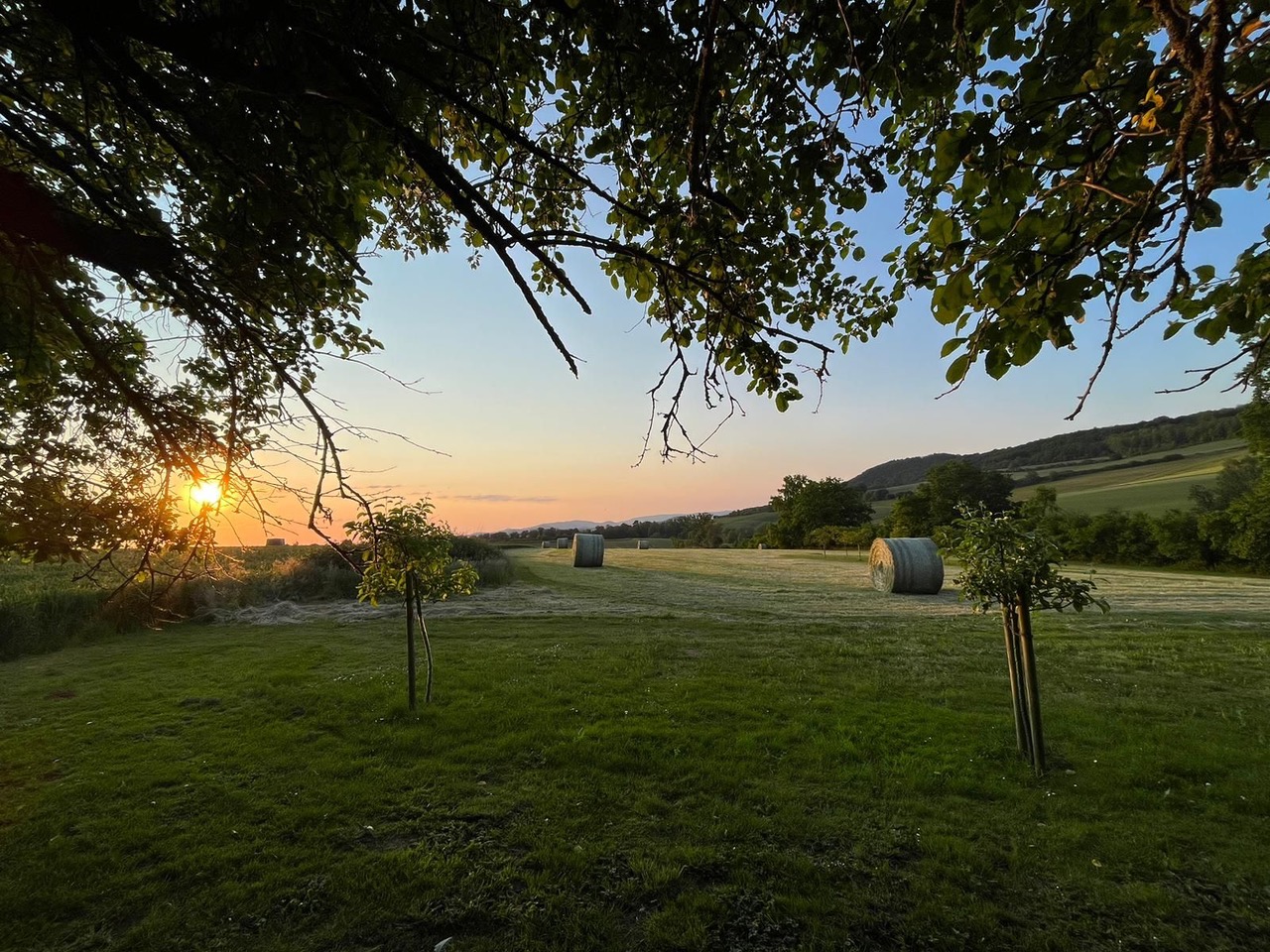 Yoga: YIN-YOGA Ausbildung vom 17.04.-19.04.2026 in Felsberg, ab 10 Uhr