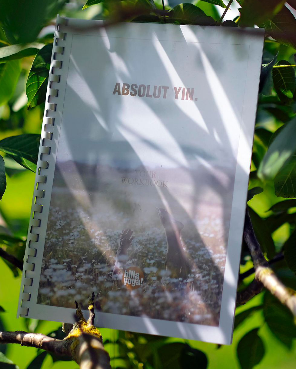 Yogalehrer Ausbildung: Dein umfangreiches Word-Book - YIN-YOGA Ausbildung vom 17.04.-19.04.2026 in Felsberg, ab 10 Uhr