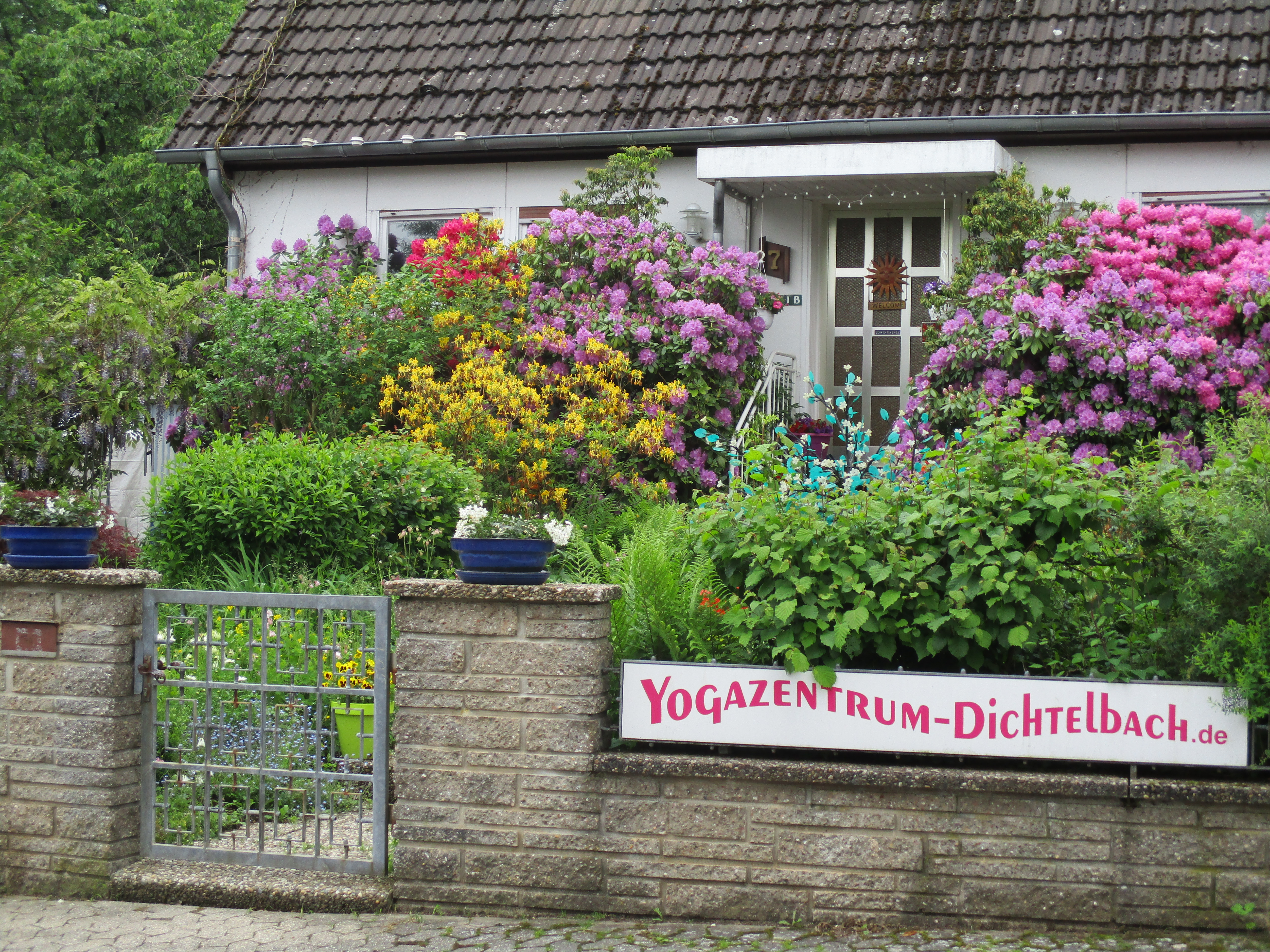 Yogakurs - Hunsrück - Yogazentrum Dichtelbach