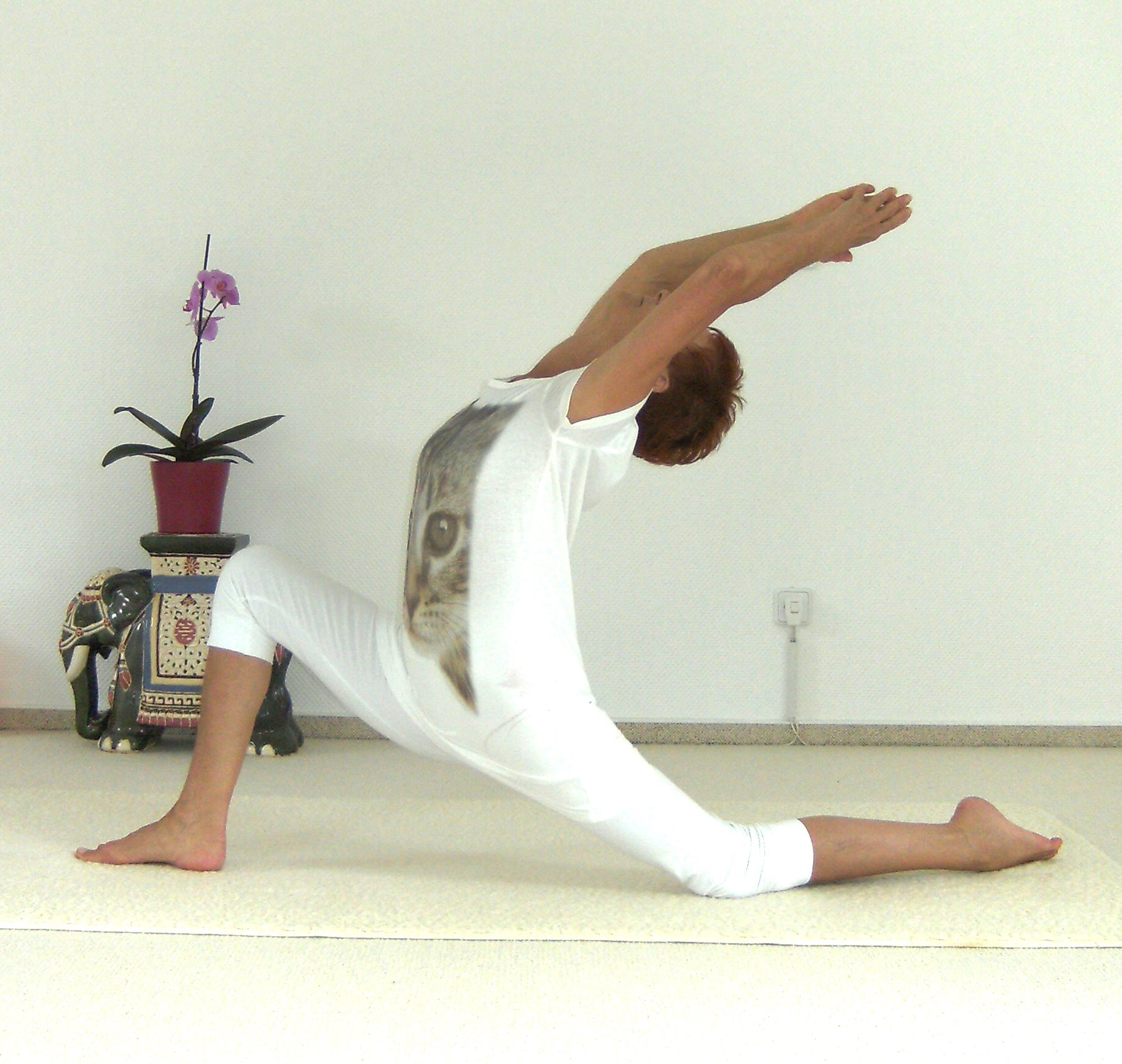 Yoga: Yogazentrum Dichtelbach