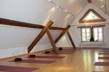 Yoga: Yoga Viveka - Ute & Magnus Selcho
