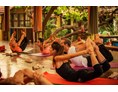 Yogalehrer Ausbildung: Yoga workshop - Kranti Yoga Tradition