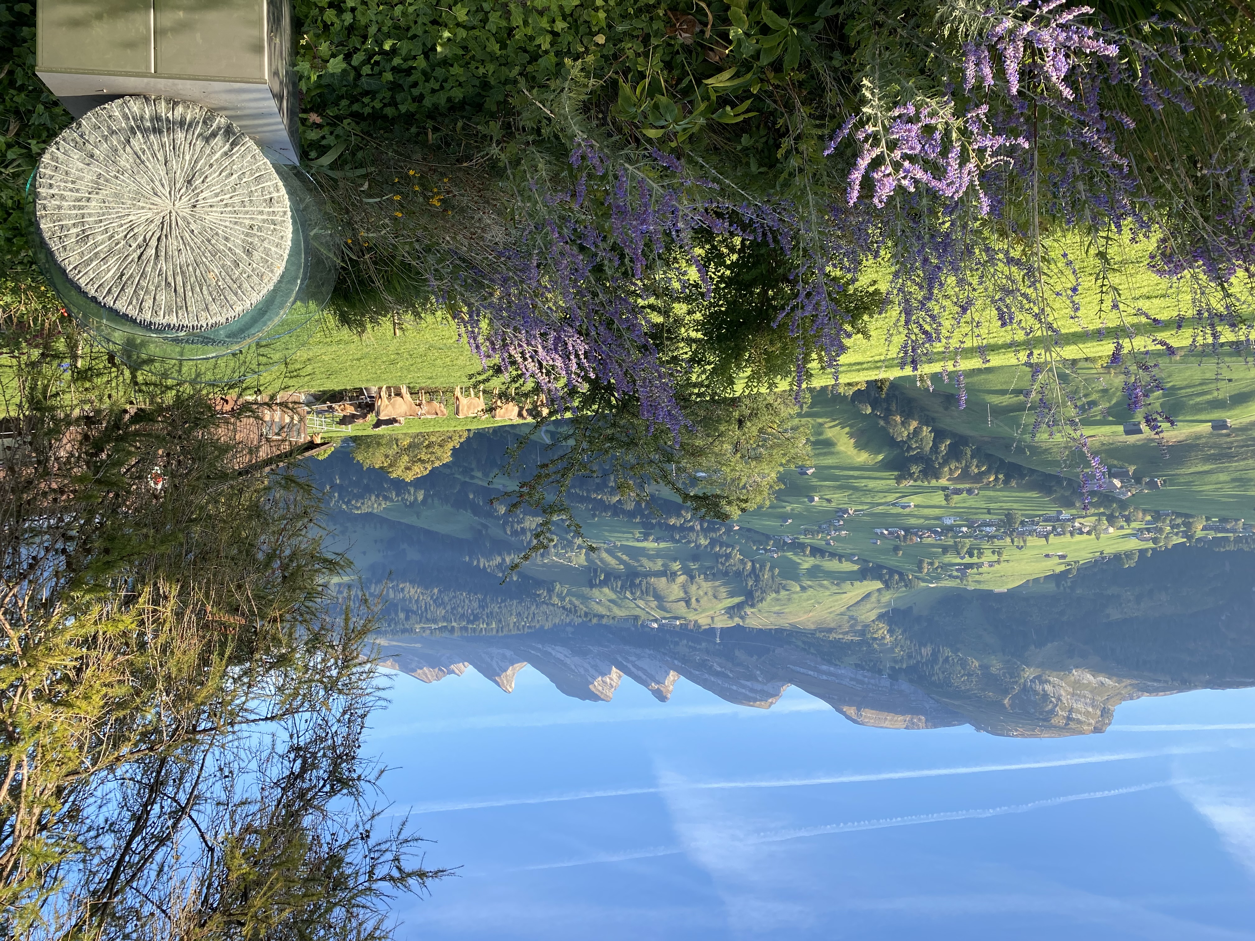 Yoga course - Zürich-Stadt - Sunnehus - Studio Yogabriel Yoga & Pilates