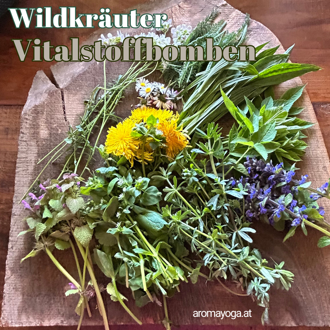 Yoga: Als Zertifizierte Kräuterpädagogin freue ich mich sehr, dich auch mit der Faszination der Kräuter anzustecken. - Yogastadl im Südburgenland: Sabine Rueland