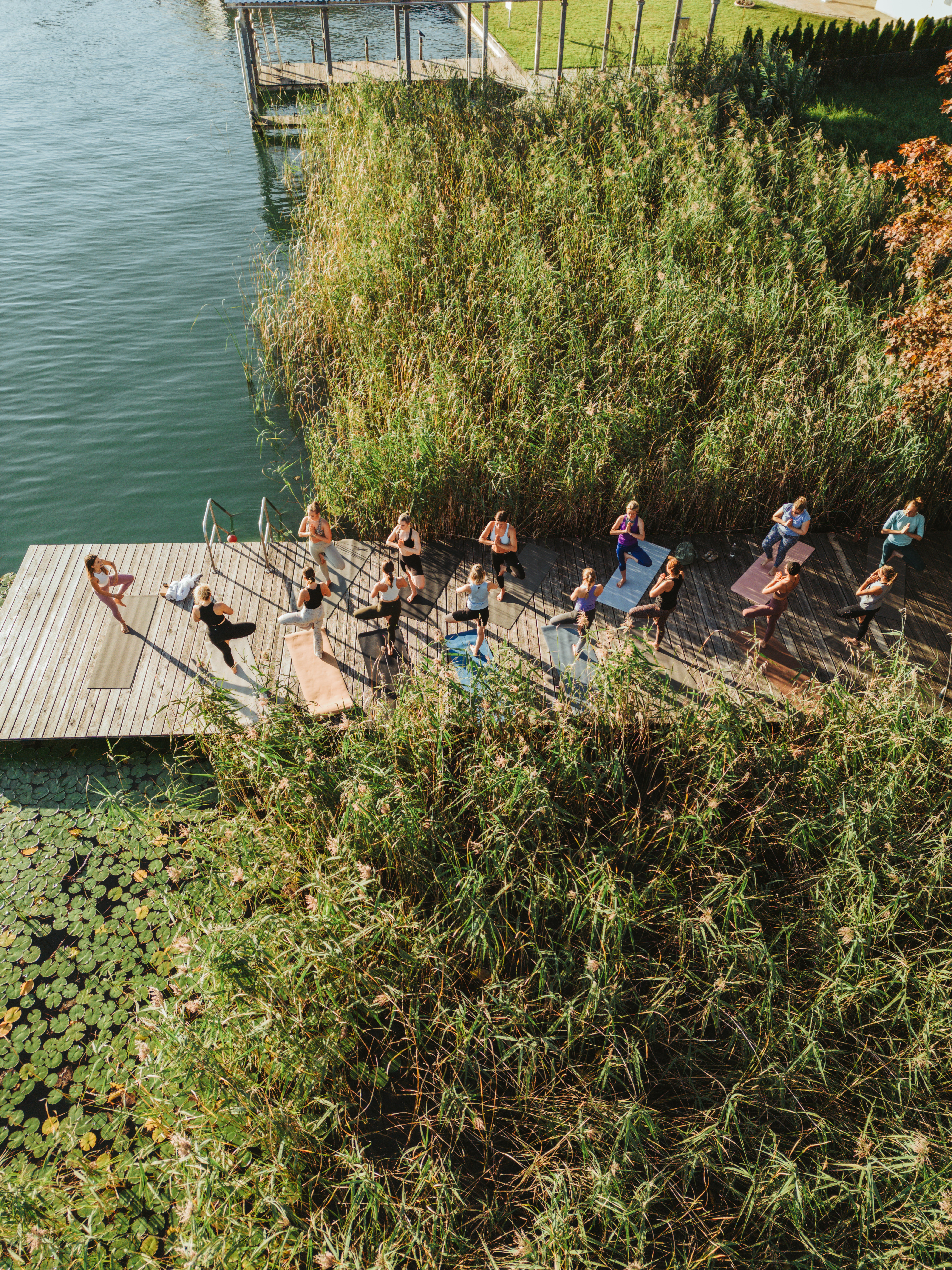 Clase de yoga - Carintia - Yoga am Seerosensteg