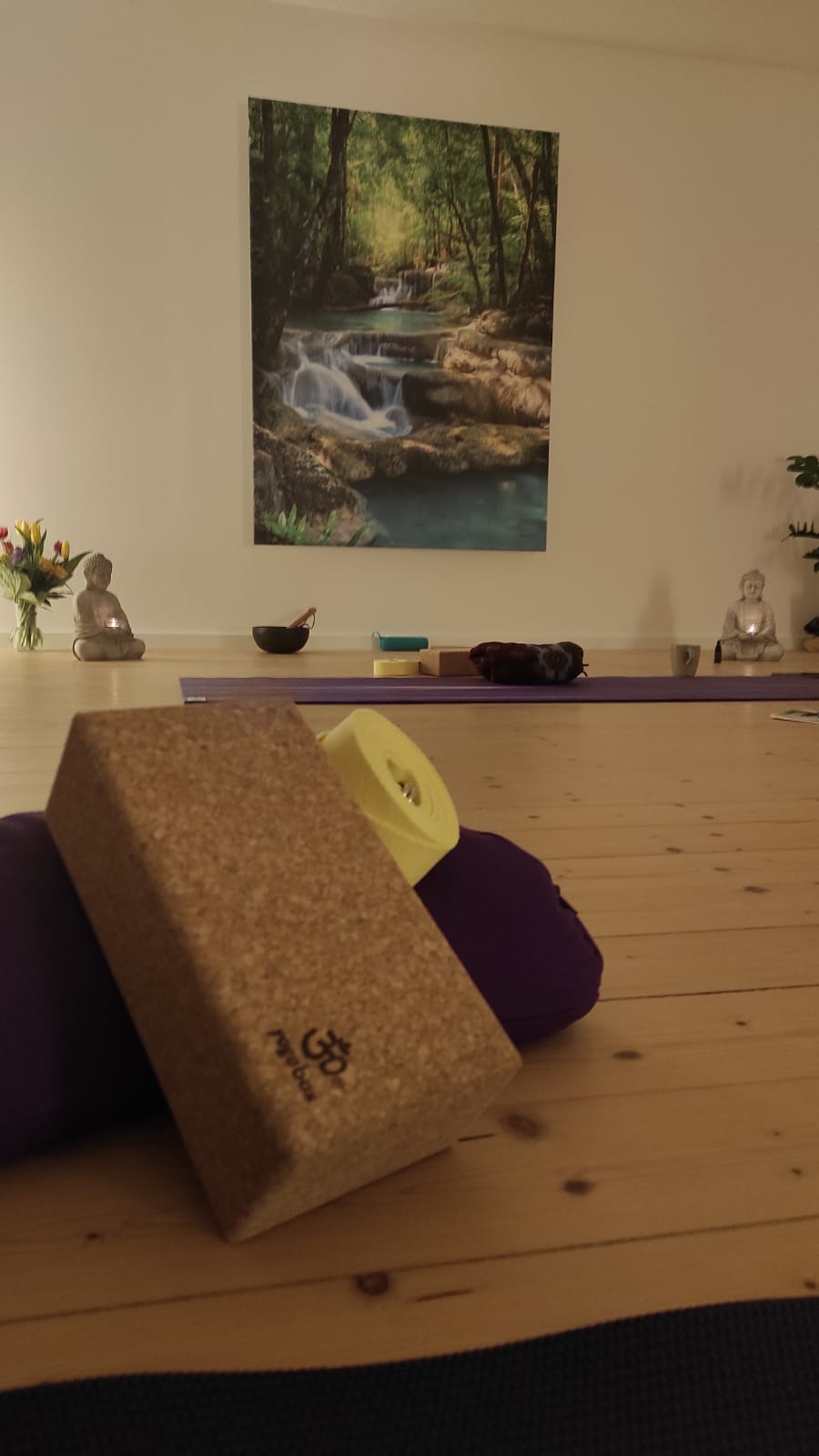 Yoga: Vorhandenes Yogaequipment im Studio Sunshine Yoga Dresden  - YoMeKla Yoga*Meditation*Klang