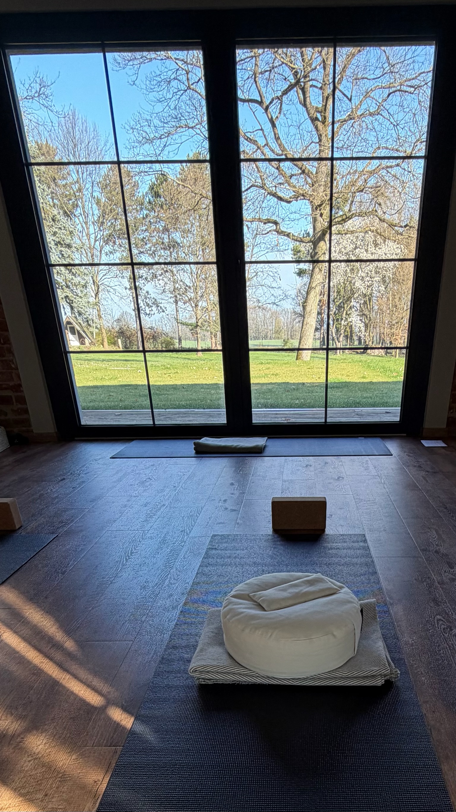 Yogakurs - Moritzburg - Blick nach draußen auf die Wiese - NURA YOGA