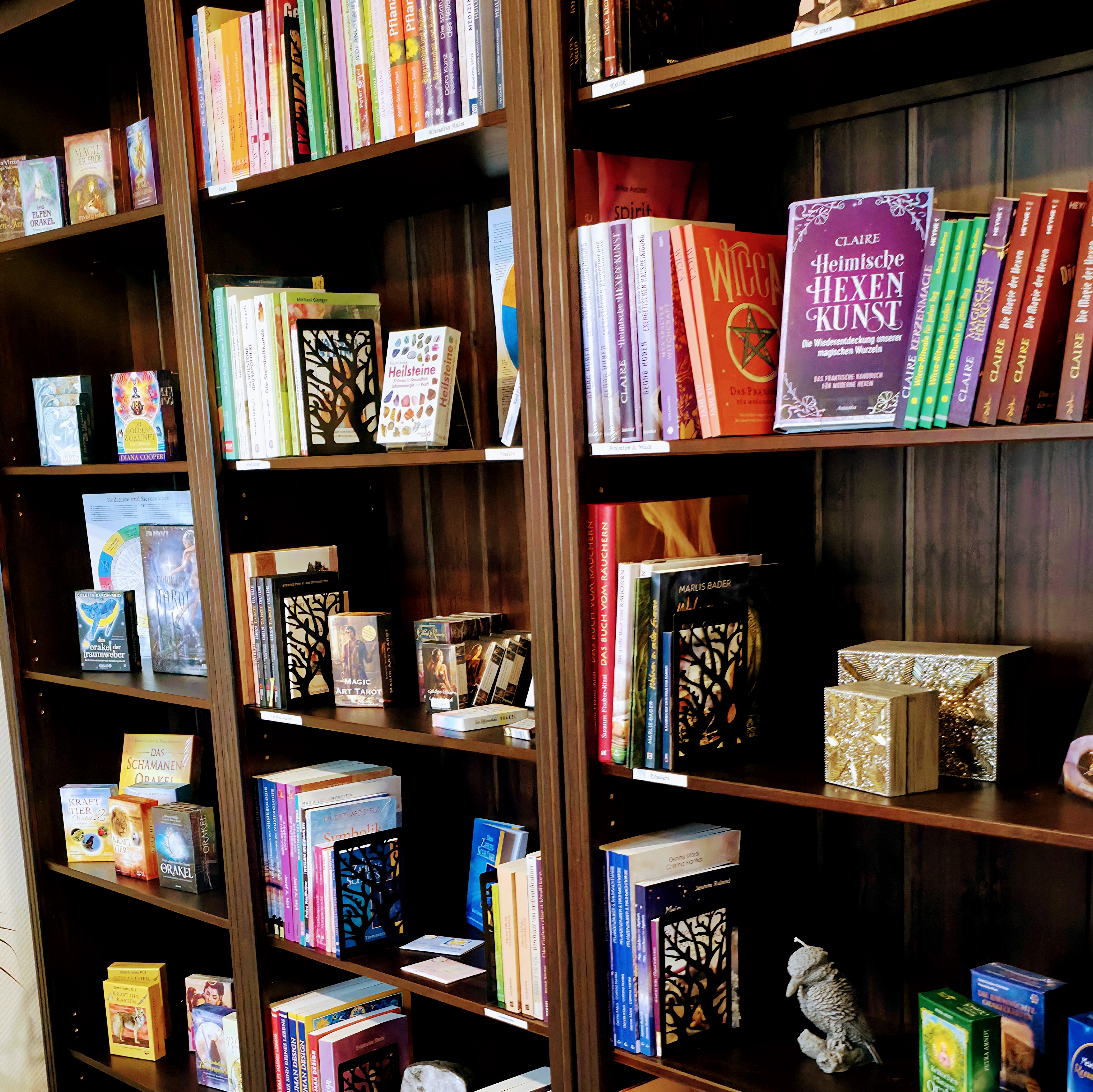 Yoga: Spirit of Gaia