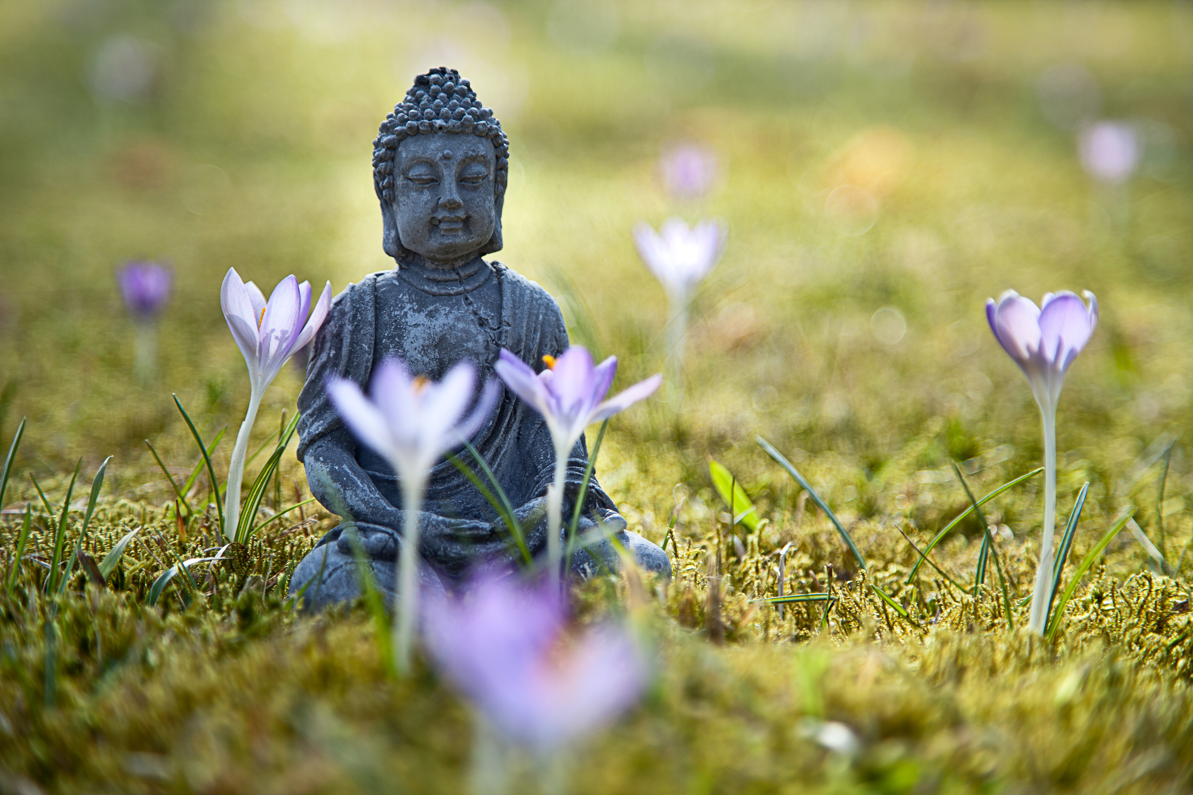 Yogakurs - Yogastil: Hatha Yoga - Köln - Sofia Pereira – Heilpraxis & Yoga