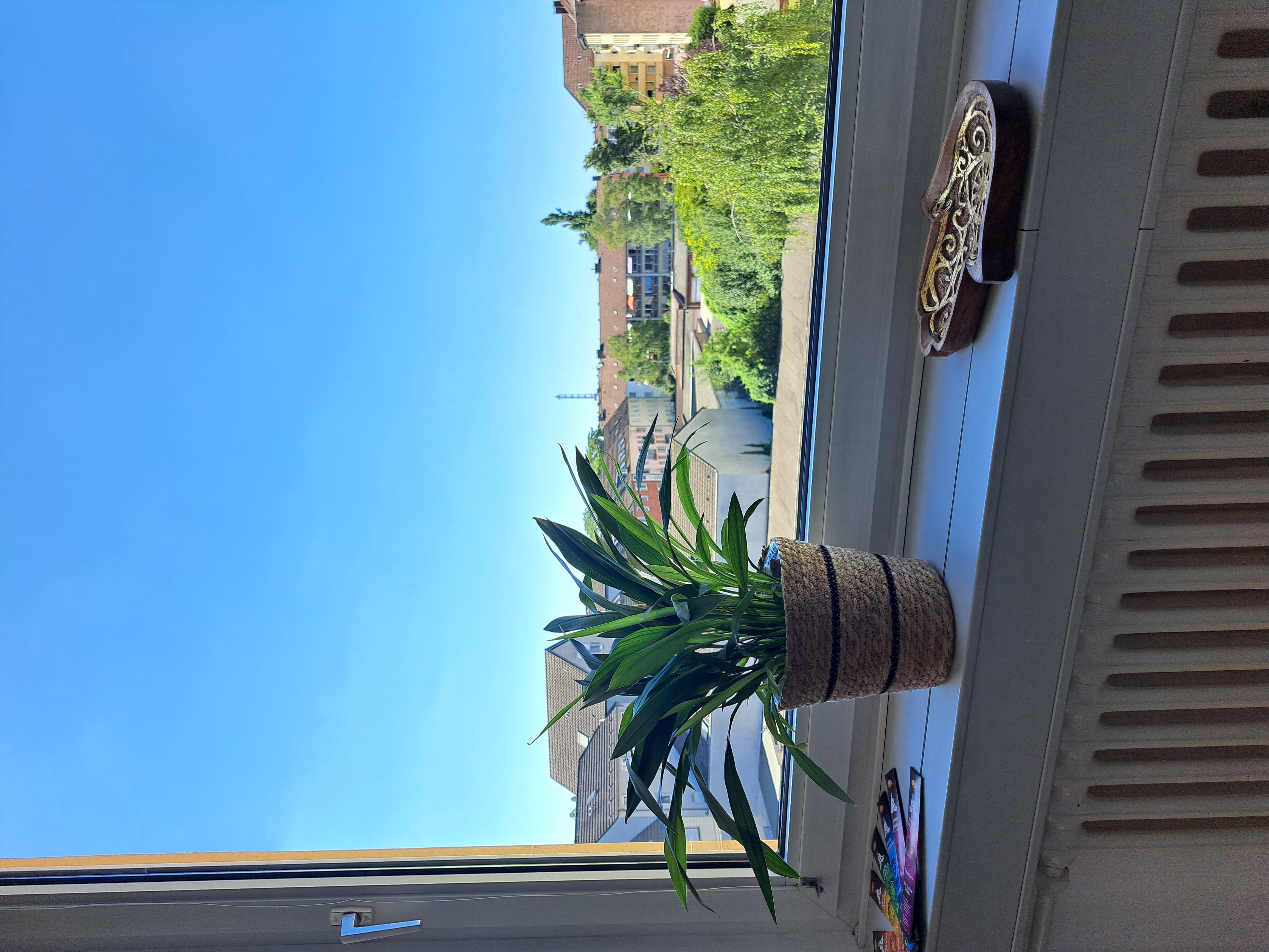 Clase de yoga - Yogalehrer:in - Alemania - Aussicht - Yoga pur DU