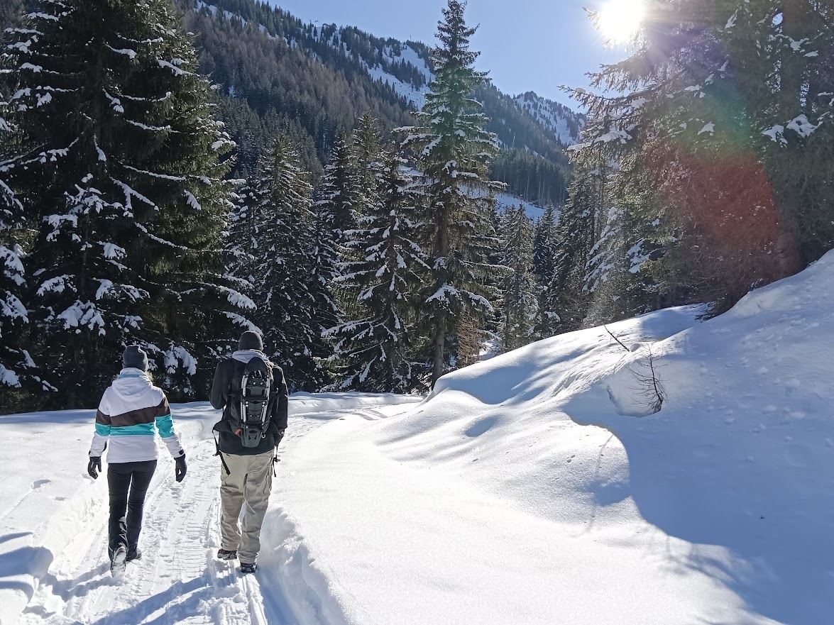 Yoga: Naturgenuss und Winterzauber beim Retreat im Winter - Yoga Retreats in Donnersbachwald