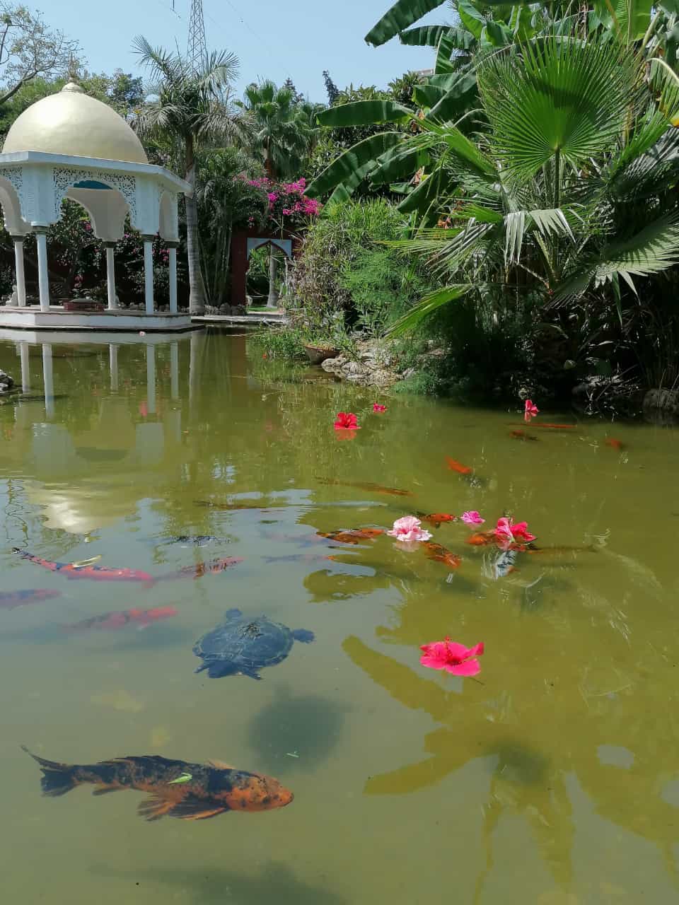 Yogaevent: Traumhafter Garten mit Sinnesgarten lädt zum Verweilen und Genießen ein. - Traumhafter Yogaurlaub für Frauen in Andalusien - Spanien