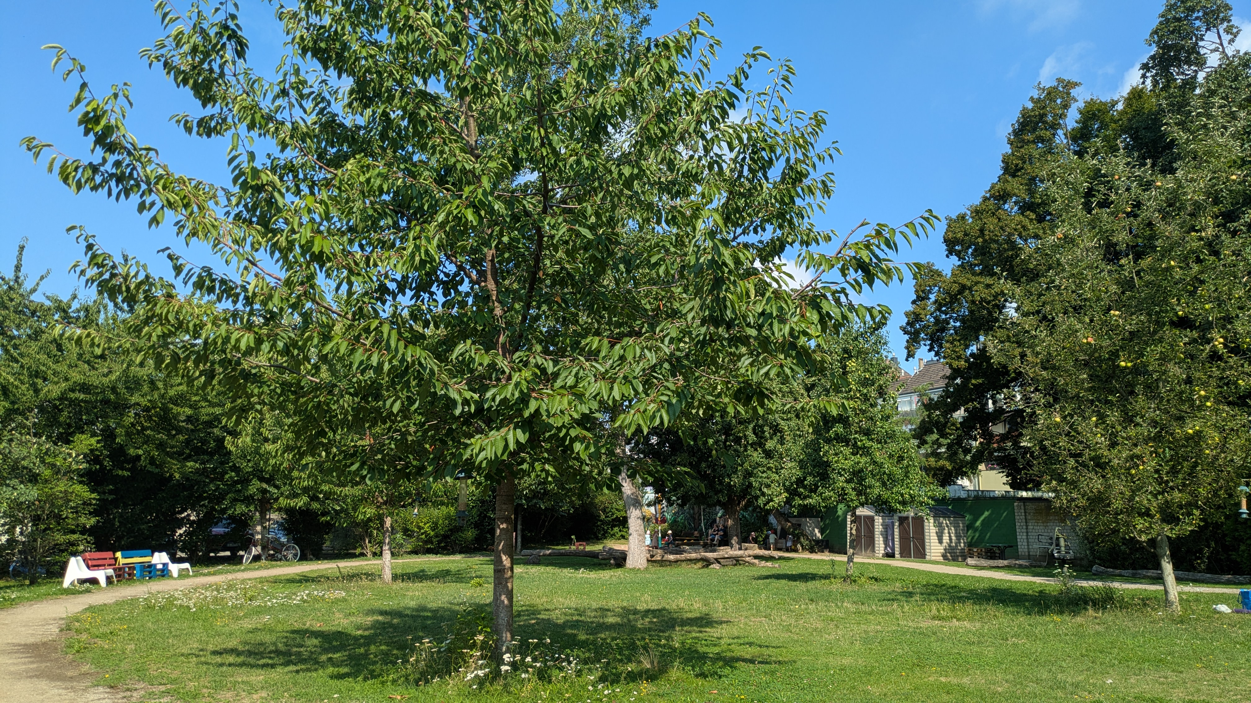 Yogakurs - Yogastil: Yin Yoga - Blick in den Nachbarschaftsgarten Wersten - Entspannungsyoga in Düsseldorf-Wersten