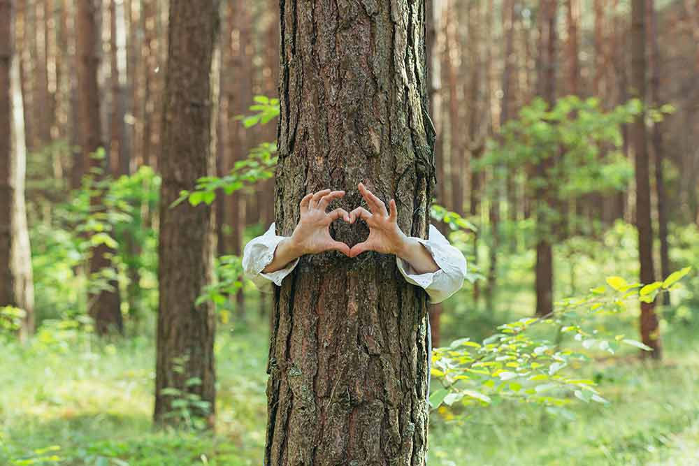 Yoga class - Berlin-Umland - Baum mit Herz - https://www.raum-fuer-yoga-und-meditation.de/