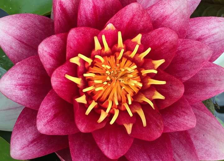 Yoga course - Berlin-Stadt Prenzlauer Berg - https://scontent.xx.fbcdn.net/hphotos-xlp1/t31.0-8/q84/s720x720/11116458_923938317648207_3850119126321505361_o.jpg - Yogalila Yogaschule Berlin