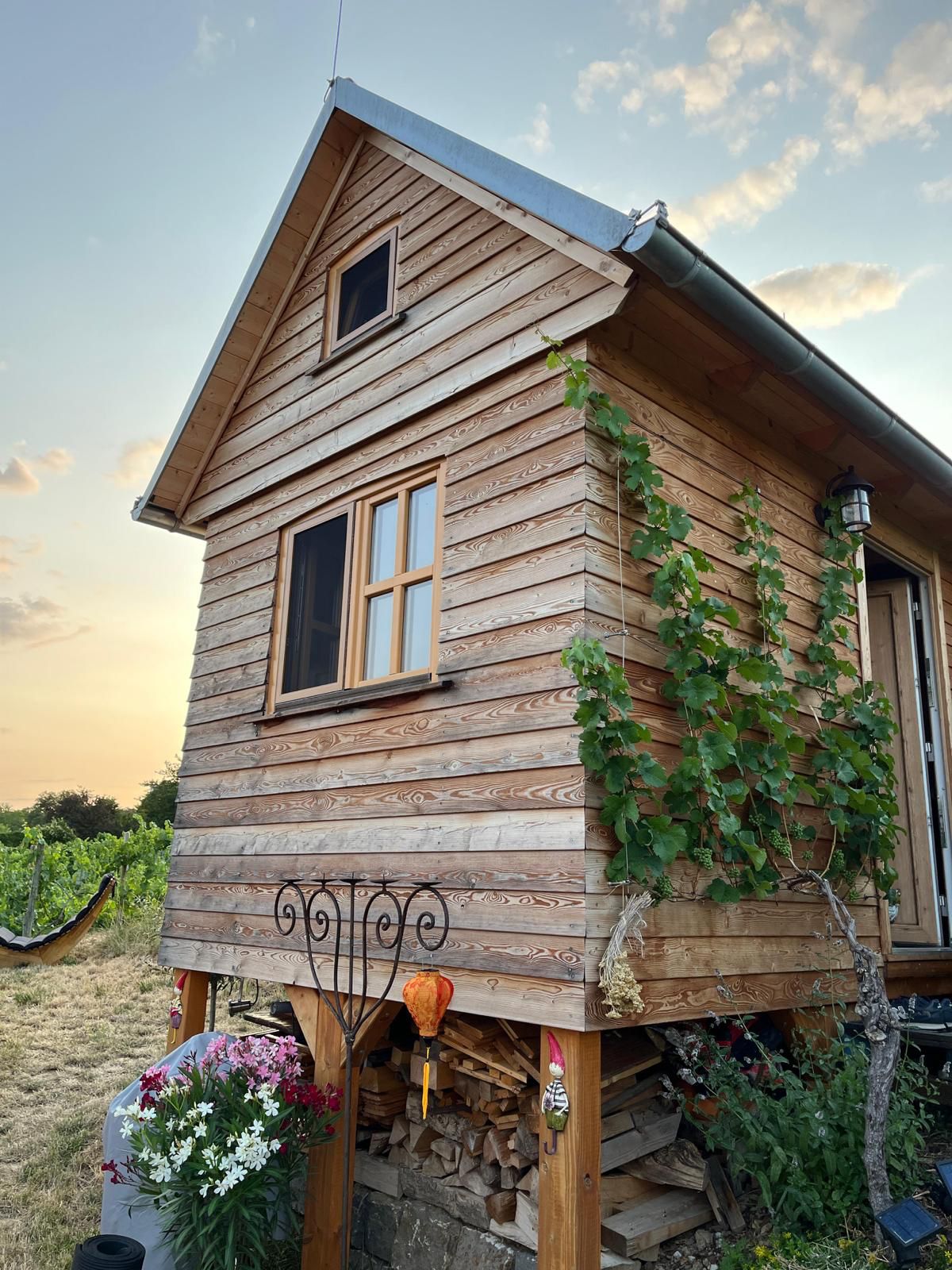 Yoga: Yoga im Weinberg - Juli & August 2025 