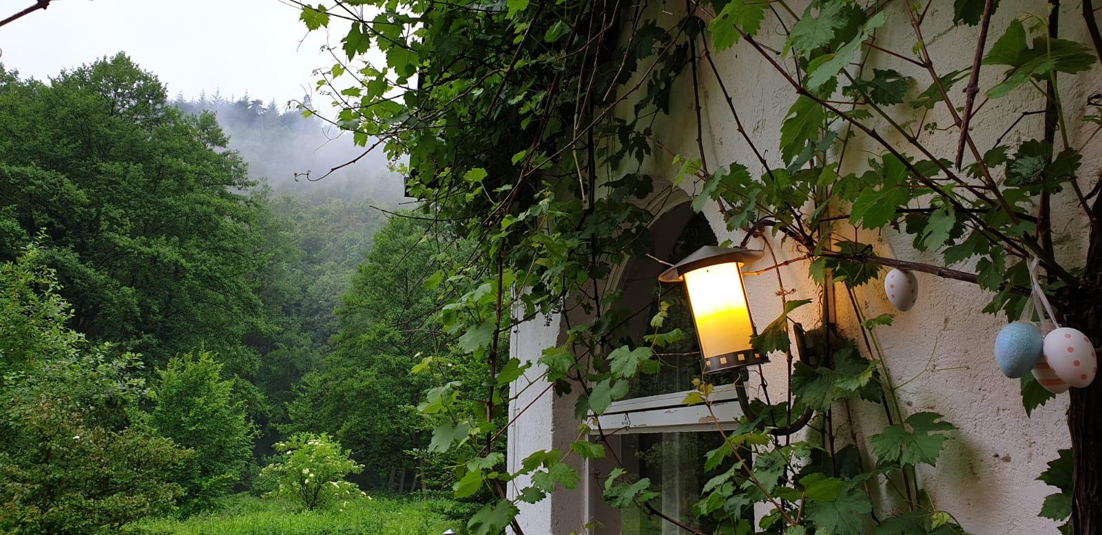 Yogaevent: Yogaretreat zur Sommersonnenwende