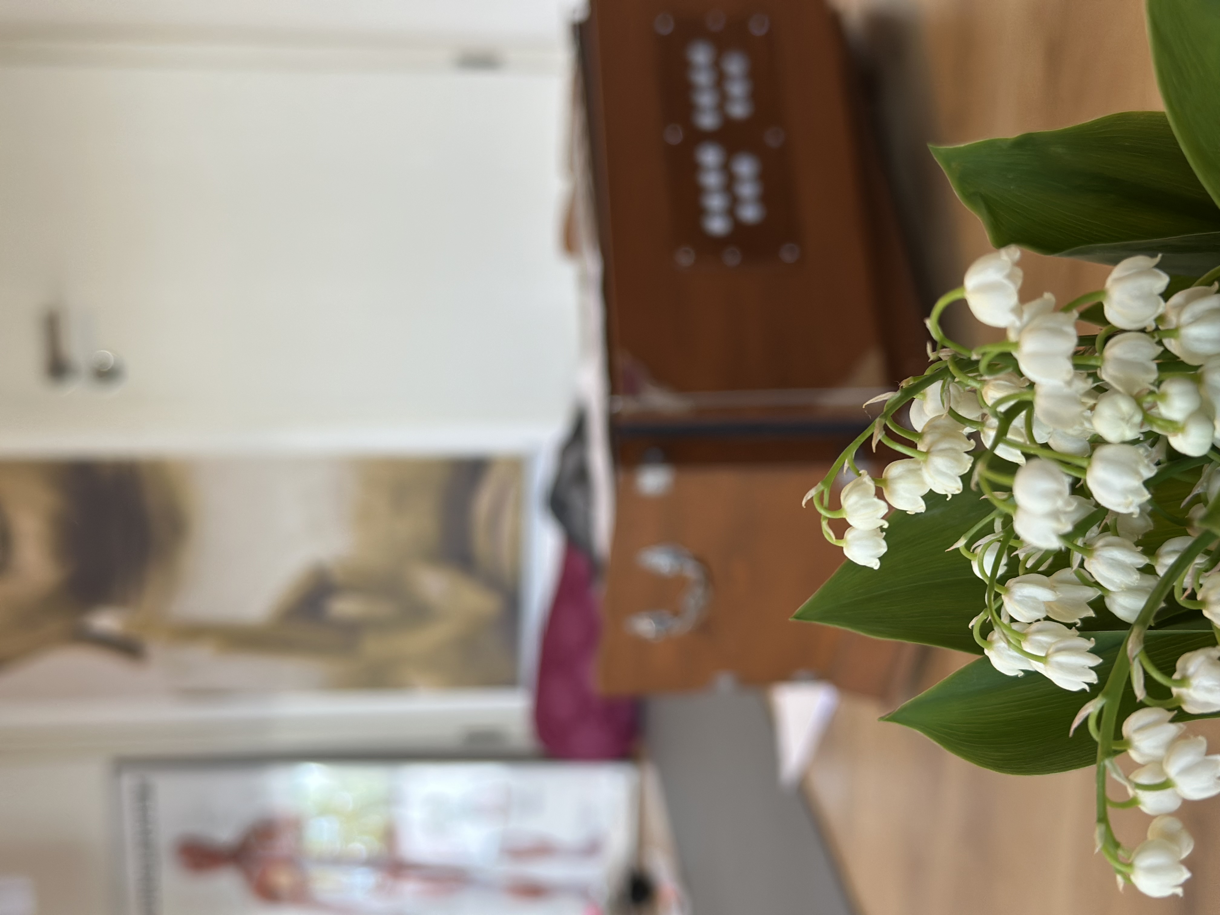 Yogalehrer Ausbildung:   ##Yogalehrer Ausbildung 200Std. Yoga Alliance zertifiziert