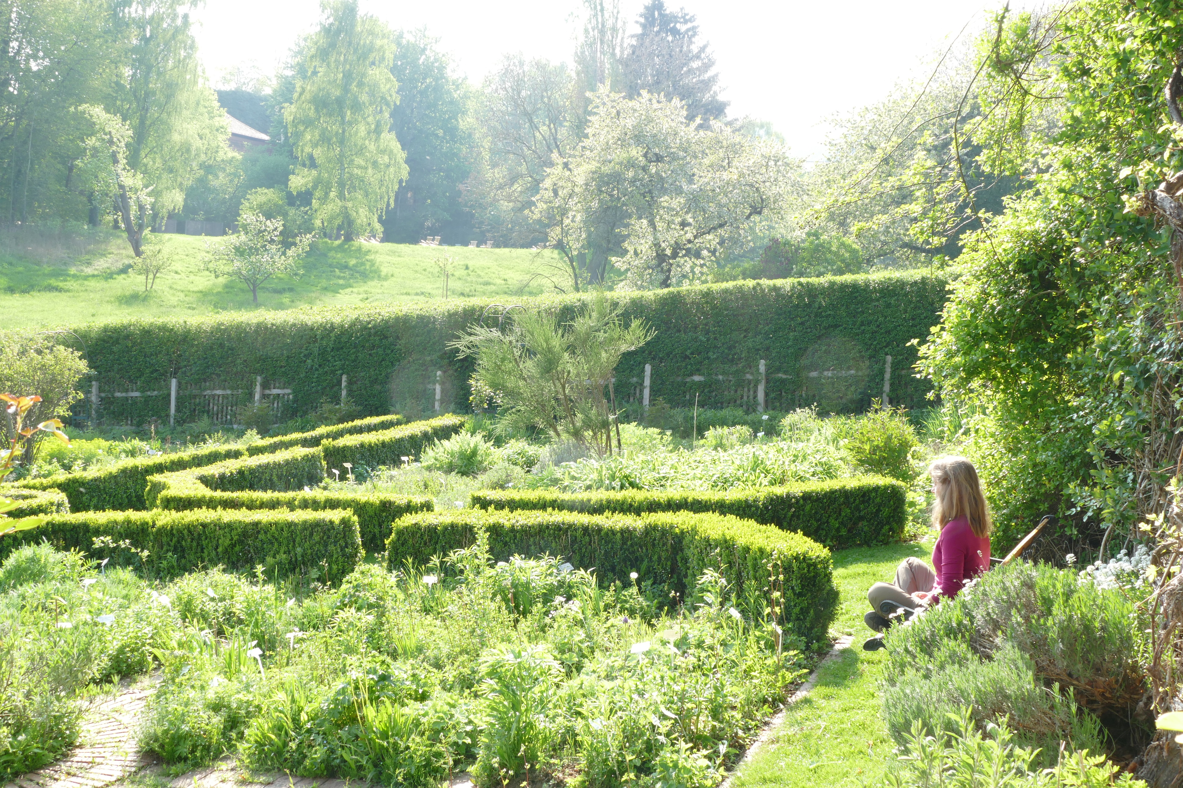 Yogaevent: WEG DER MITTE Kloster Gerode, Heilpflanzengarten - Basenfasten: Azidose-Detox-Kur mit Yoga und Meditation