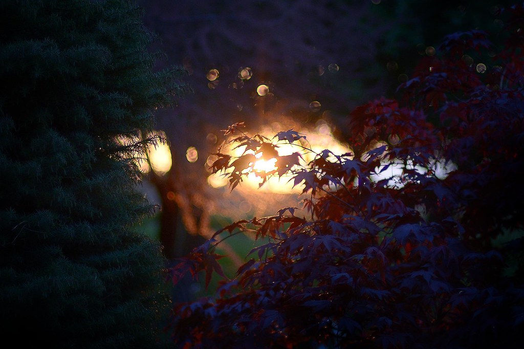 Yoga: Billayoga/Felsberg: Dein RAUNÄCHTE-SPECIAL am 20.12., 18-21 Uhr