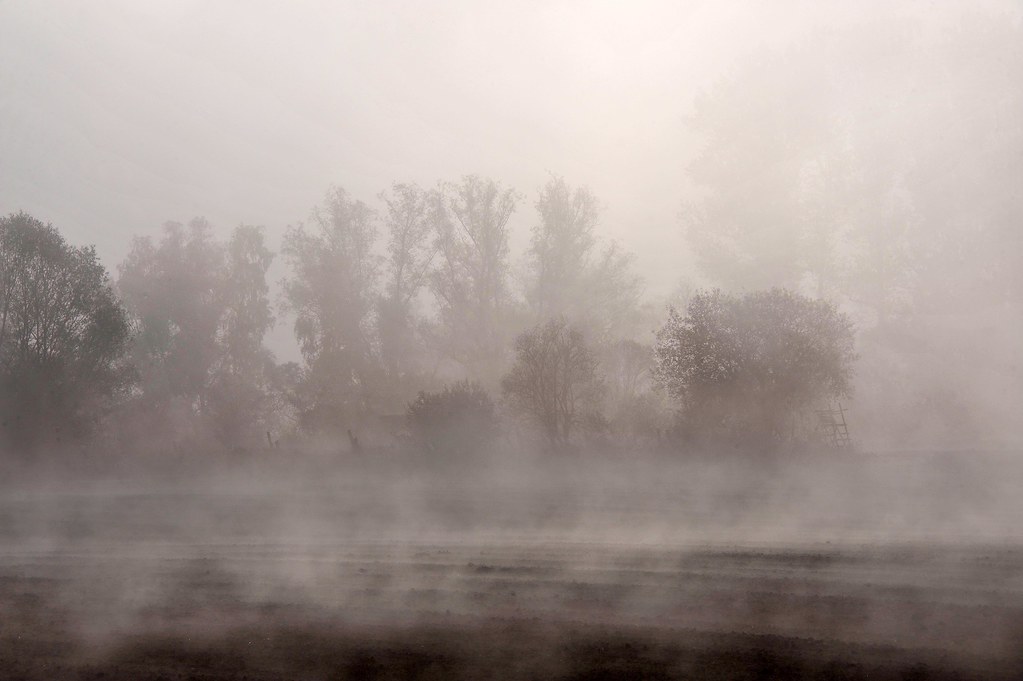 Yoga: Billayoga/Felsberg: Dein RAUNÄCHTE-SPECIAL am 20.12., 18-21 Uhr