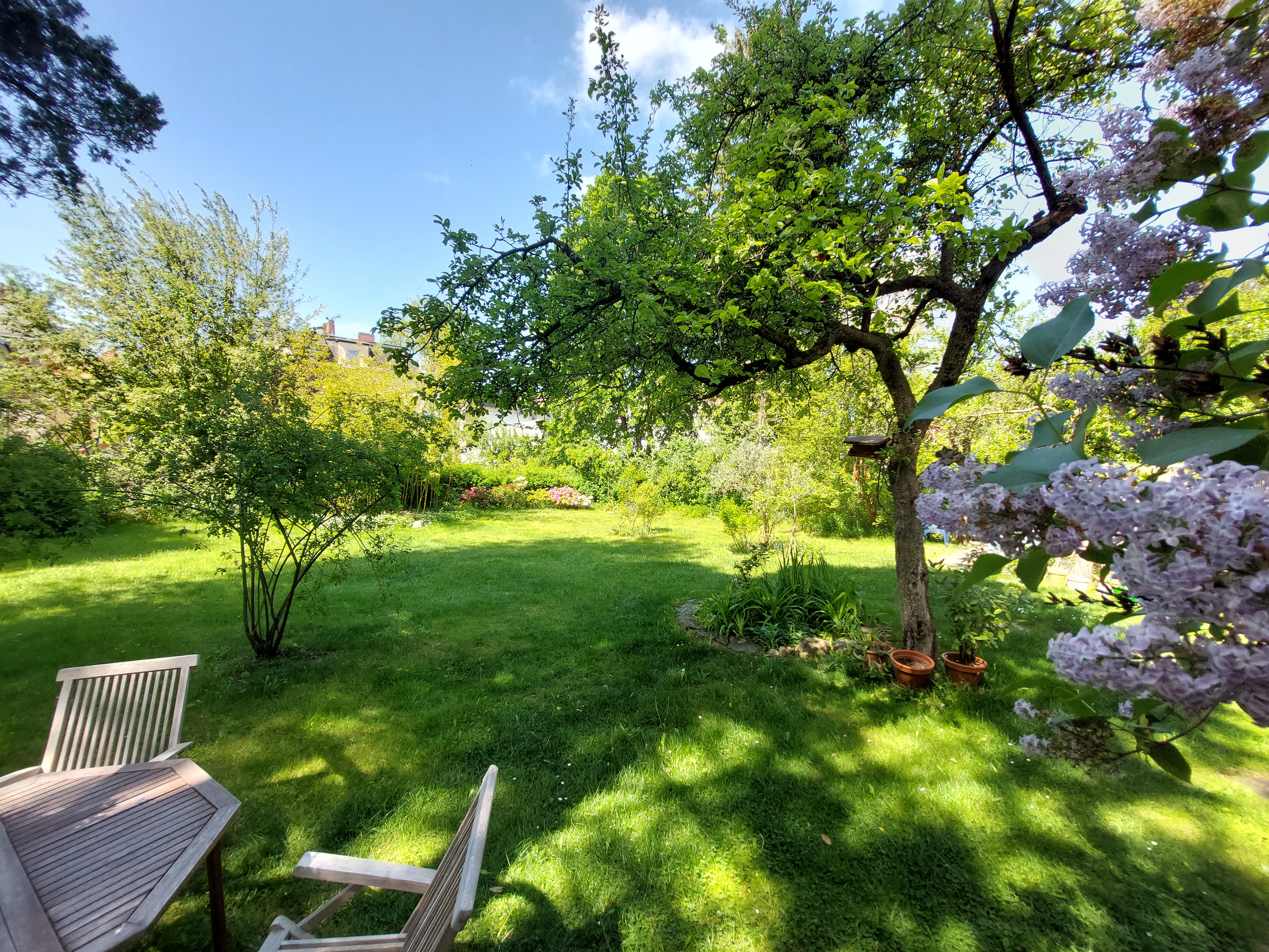 Yogakurs - Berlin-Stadt Steglitz Zehlendorf - Zentrum für ganzheitliche Gesundheit, Bildung und Soziales, Berlin - Zehlendorf, BenefitYoga®