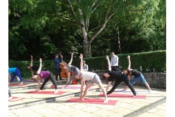 Yoga: Yoga auf den Park Humboldthain- Wedding - Mitte Berlin - Yalp -Yoga and Ayurveda- Berlin Home Studio