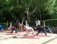 Yoga: Yoga auf den Park Humboldthain- Wedding - Mitte Berlin - Yalp -Yoga and Ayurveda- Berlin Home Studio